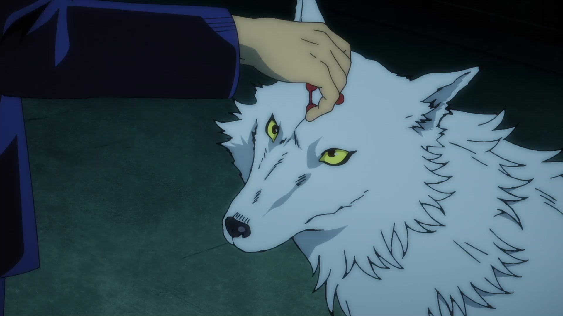 [Tsukyio Editing Resources] Jujutsu Kaisen Season 1 (Episode 4) Raw Clips (197) (tsukyio.com).mp4